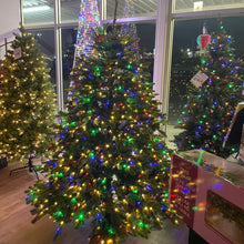 Load image into Gallery viewer, Balsam Hill 6.5’ Fraser Fir Wide Tree w/ LED Color-flip Lights