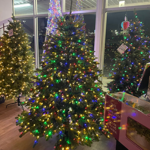 Balsam Hill 6.5’ Fraser Fir Wide Tree w/ LED Color-flip Lights