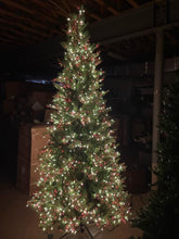 Load image into Gallery viewer, Santa’s Best 9’ Starry Alberta