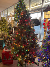 Load image into Gallery viewer, Bethlehem Lights 6.5’ Incandescent Blue Spruce w/ Multi-colored Lights