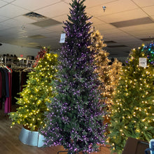 Load image into Gallery viewer, Santa’s Best 9’ Starry Alberta