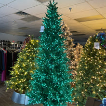 Load image into Gallery viewer, Santa’s Best 9’ Starry Alberta