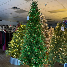 Load image into Gallery viewer, Santa’s Best 9’ Starry Alberta