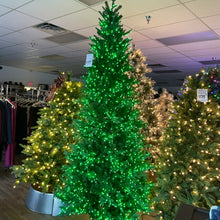 Load image into Gallery viewer, Santa’s Best 9’ Starry Alberta