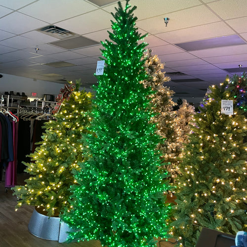 Santa’s Best 9’ Starry Alberta