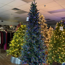 Load image into Gallery viewer, Santa’s Best 9’ Starry Alberta