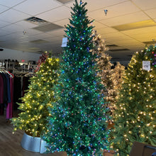 Load image into Gallery viewer, Santa’s Best 9’ Starry Alberta