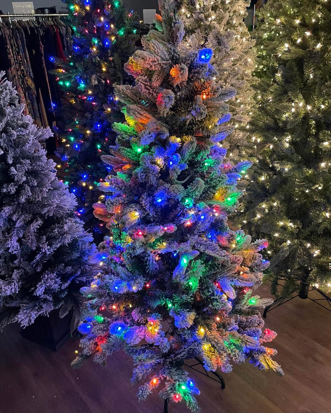 Bethlehem Lights 5’ Flocked 2-in-1 Heritage Tree