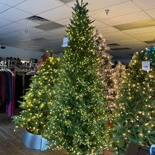 Load image into Gallery viewer, Santa’s Best 9’ Starry Alberta