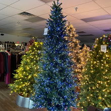 Load image into Gallery viewer, Santa’s Best 9’ Starry Alberta