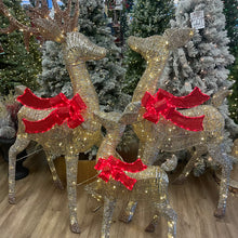Load image into Gallery viewer, Set of 3 Illuminated Twinkling Indoor/Outdoor Deer Family