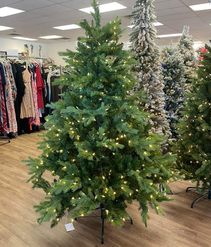 Bethlehem Lights 6.5’ Full Profile Shenandoah w/ Clear LED Lights