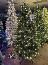 Load image into Gallery viewer, Bethlehem Lights 6.5’ North Vail w/ Clear Incandescent Lights