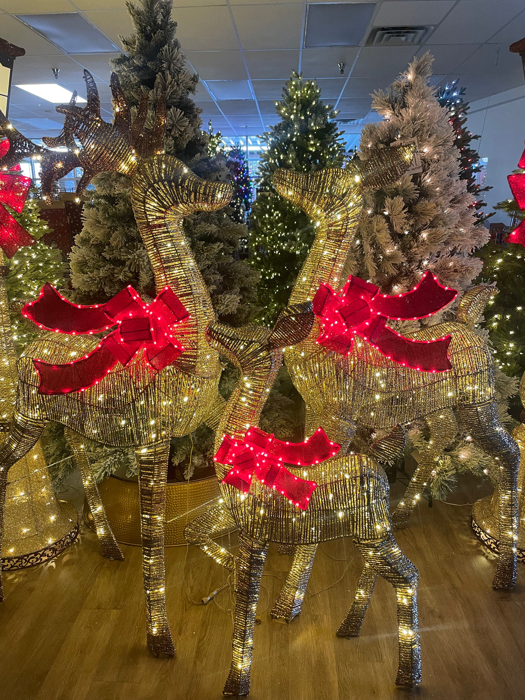 Set of 3 Illuminated Twinkling Indoor/Outdoor Deer Family