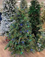 Load image into Gallery viewer, Balsam Hill 5.5’ Fraser Fir w/ Clear + Color LED Lights