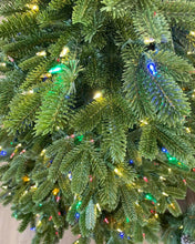 Load image into Gallery viewer, Balsam Hill 5.5’ Fraser Fir w/ Clear + Color LED Lights