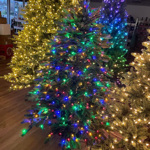 Balsam Hill 5.5’ Fraser Fir w/ Clear + Color LED Lights