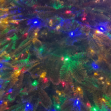 Load image into Gallery viewer, Balsam Hill 5.5’ Fraser Fir w/ Clear + Color LED Lights