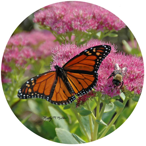 Monarch Butterfly Non-Slip Silicone Jar Opener