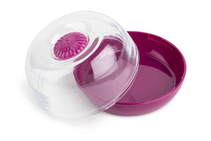 Onion Food Saver Container