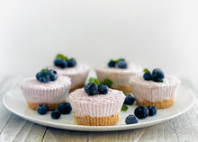 Load image into Gallery viewer, Carmie&#39;s Kitchen Wild Blueberry Cheesecake Dip Mix