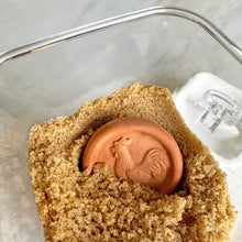 Load image into Gallery viewer, Brown Sugar Saver